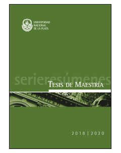 Tesis de maestría 2018-2020: Serie resúmenes