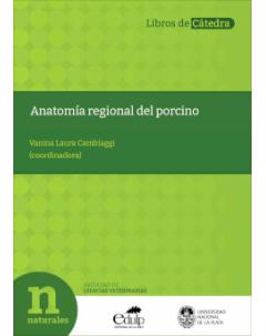 Anatomía regional del porcino