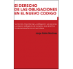 El derecho de las obligaciones en el nuevo código: Contenido. Importancia. La obligación: sus regiones. La relación obligatoria de consumo. Los derechos fundamentales de los consumidores